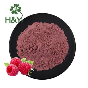 Raspberry Powder Manufacturer - Factory Supply Red Raspberry Juice Concentrate Powder