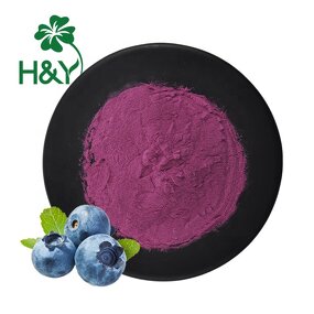 Blueberry Powder Manufacturer - Blueberry Extract Blueberry Juice Powder