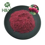 Cactus Fruit Extract Manufacturer - Customized Prickly Pear Hoodia Juice Red Extract Powder