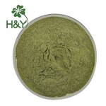 Kale Powder Manufacturer - Factory Supplier High Quality Curly Kale Green Powder