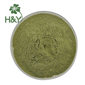 Kale Powder Manufacturer - Factory Supplier High Quality Curly Kale Green Powder