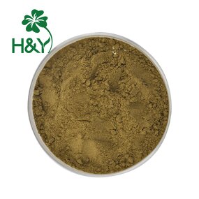 Andrographis Extract Manufacturer - Factory Supplier 10% Extract Powder for Thailand