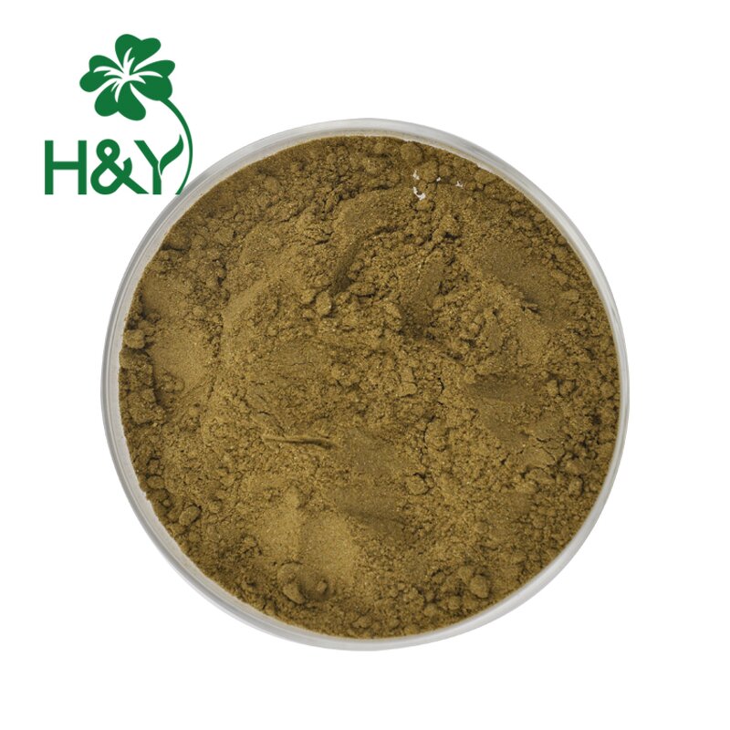 Andrographis Extract Manufacturer - Factory Supplier 10% Extract Powder for Thailand