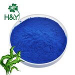 Phycocyanin Extract Manufacturer - E18 Blue Spirulina Extract Powder