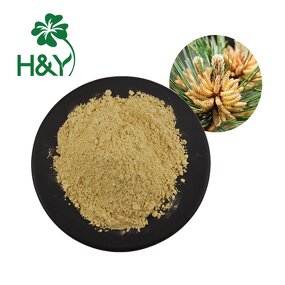 Pine Pollen Extract Manufacturer - 99% Cracked Cell Wall Pine Pollen Extract Powder