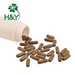 Eggfruit Extract Powder Manufacturer - High Quality Food Grade Lucuma/Eggfruit Powder