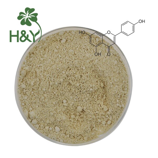 Apigenin Extract Powder Manufacturer - Apigenin98% Apigenin Supplement Powder