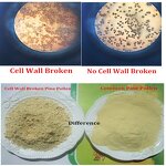 Pine Pollen Extract Manufacturer - Hot Selling Cell Wall Broken Pine Pollen Powder