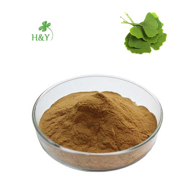 Ginkgo Biloba Extract Manufacturer - Nature Herbal 24% Flavone 6% Lactones Extract