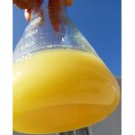 Pine Pollen Extract Manufacturer - Hot Selling Cell Wall Broken Pine Pollen Powder