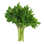 Ashitaba Extract Powder Manufacturer - 100% Pure Natural 10:1 Angelica Keiskei Extract