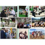 Artemisia Extract Manufacturer - Hot Sell High Quality 98% Artemisinin Annua Extract