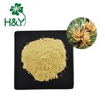 Pine Pollen Extract Manufacturer - 99% Cracked Cell Wall Pine Pollen Extract Powder