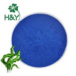 Spirulina Blue Manufacturer - Healthway Blue Color Spirulina Phycocyanin Extract