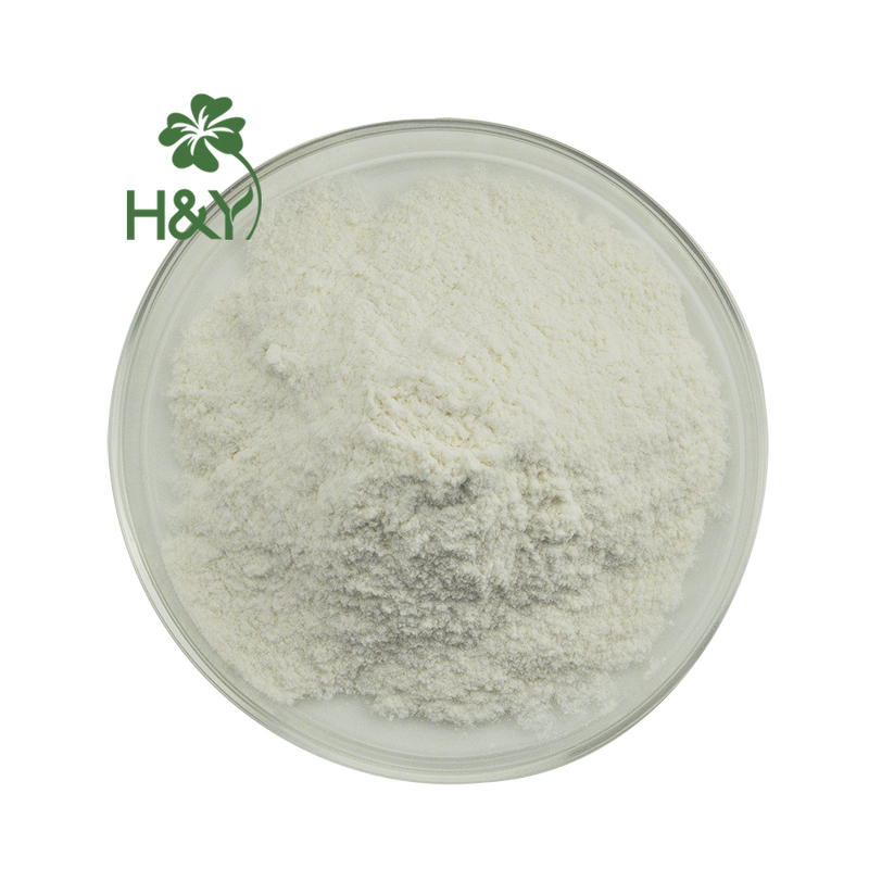 Agar Agar Powder Manufacturer - Hot Selling High Purity 900 Agar Powder