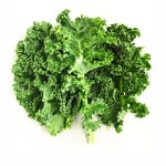 Kale Extract Manufacturer - Fast Delivery Hot Selling Kale Extract Kale Powder