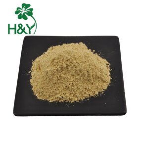 Pine Pollen Extract Manufacturer - Hot Selling Cell Wall Broken Pine Pollen Powder