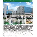 Xylo-oligosaccharide Manufacturer - Manufacturing 95% XOS Prebiotic Xylooligosaccharide Powder