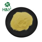 Eggfruit Extract Powder Manufacturer - High Quality Food Grade Lucuma/Eggfruit Powder