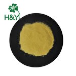 Eggfruit Extract Powder Manufacturer - High Quality Food Grade Lucuma/Eggfruit Powder