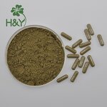 Andrographis Extract Manufacturer - Factory Supplier 10% Extract Powder for Thailand