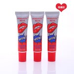 Lip Gloss - Manufacturer - Luxury Vegan - Matte Peel Effect - Lady's Beauty Makeup