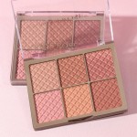 矿物化妆品生产商-OEM MISS ROSE 6色哑光细粉腮红