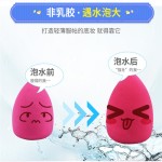 美容海绵供应商-OEM 18色亲肤乳胶超软海绵