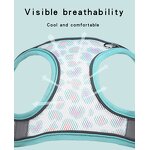 Pet Harness Manufacturer - Breathable Mesh - Small Pattern Teddy - Dog Use
