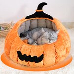 Pet Collar Manufacturer - New Cat Halloween - Collar Design