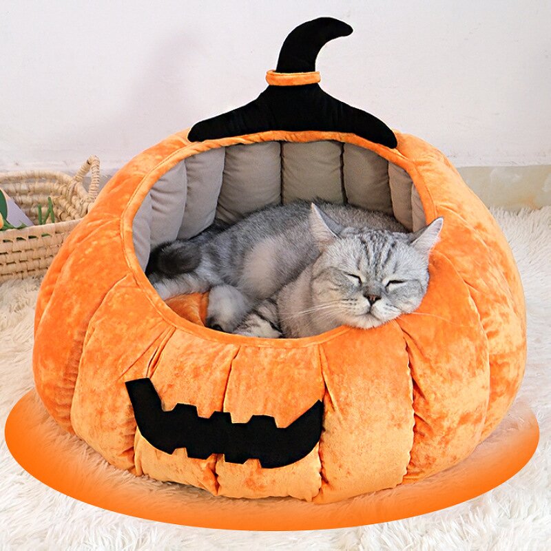 Pet Collar Manufacturer - New Cat Halloween - Collar Design