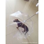 Wholesale Pet Cat Dog Umbrella with Leash for Pet