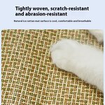 Pet Bed Manufacturer - Washable Non-slip Waterproof - Foldable - Travel Bed