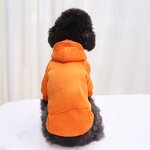 Pet Hoodie Manufacturer - Fall Trending - Plain Blank - Chihuahua Cat Dog Wear
