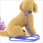 Pet Dog Leash Manufacturer - No Pull Training - Nylon Rope - Bulk Slip Lead