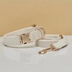 Pet Collar Manufacturer - Lettering Silk Gold - Metal Buckle - Velvet Dog Collar