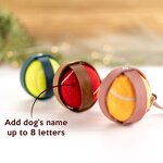 Detachable Dog Ball Holder