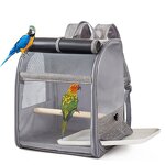 Collar Charm Manufacturer - 10mm Customized Logo - Metal Collar Charms