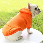 Pet Hoodie Manufacturer - Fall Trending - Plain Blank - Chihuahua Cat Dog Wear