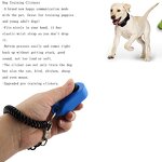 Pet Training Collar Manufacturer - 2 in 1 Remote - 3300ft - Beep Vibrate - Dog
