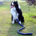 Pet Leash Manufacturer - Reflective Nylon - Dog Leads - Night Safety