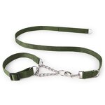 Pet Leash Manufacturer - Premium Chain Gold - Luxury Dog Leash