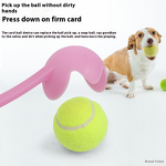 Pet Toy Manufacturer - Squirrel Design - Modern Style - Bis Certified Supplier