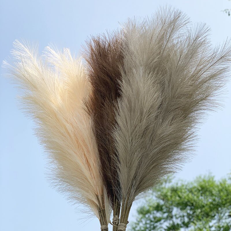 Artificial Pampas Grass Manufacturer - Faux Fluffy Cream 120 cm for Decor
