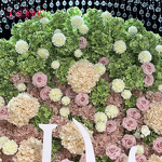 Artificial Hydrangea Manufacturer - Dalian Chermy 3D Real Touch Latex Dark Green for Wedding