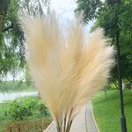 Artificial Pampas Grass Manufacturer - High Quality 100cm 39 Inch Pink White Beige for Shop Art Gallery