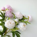Artificial Peony Manufacturer - Dalian Chermy TH798 Realistic for Wedding Events Centerpieces