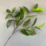 Green Leaves Arrangement Manufacturer - Hot Sale for Wedding Decoration