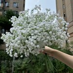 Artificial Baby's Breath Manufacturer - Good Quality Real Touch Latex White for Wedding Arrangement