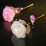 Plastic Rose Manufacturer - Exquisite Colorful Gold with Transparent Packaging for Home Decoration Gift